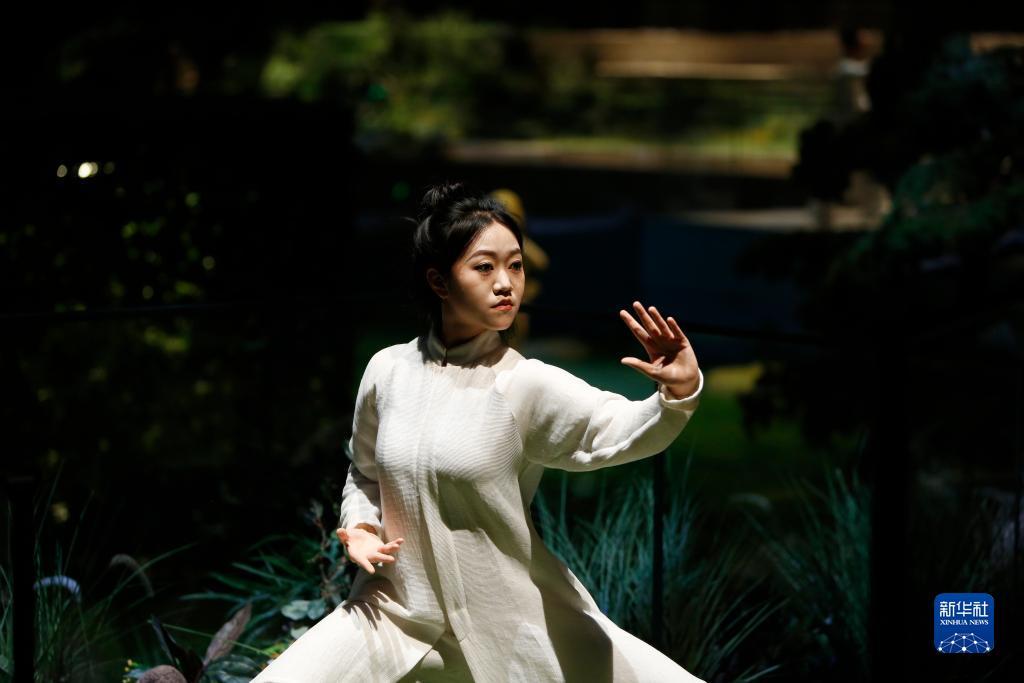 宾利棋牌图片